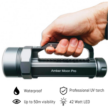 Amber Moon PRO 42W - STARTER KIT