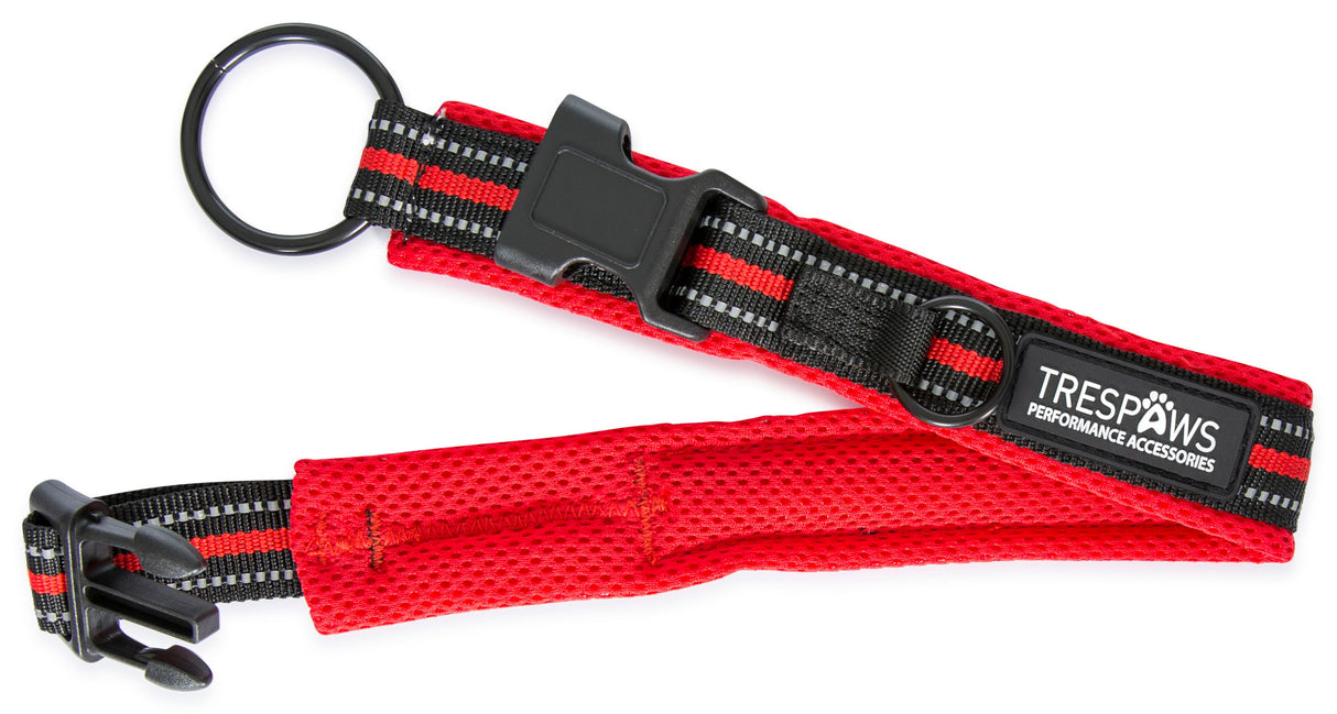 Scooby - Postbox Red - Trespass