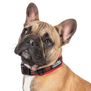 Scooby - Postbox Red - Trespass
