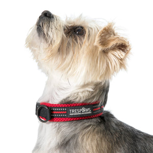 Scooby - Postbox Red - Trespass