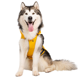 Seadog - Sunshine - Trespass