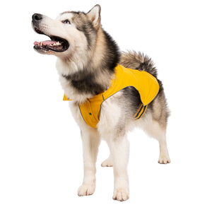Seadog - Sunshine - Trespass
