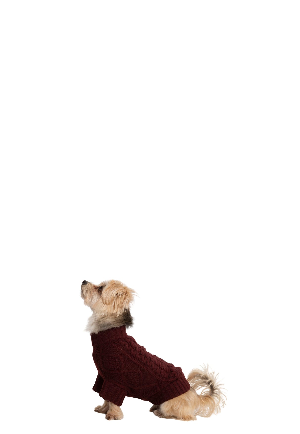 Snowhound - Merlot - Trespass