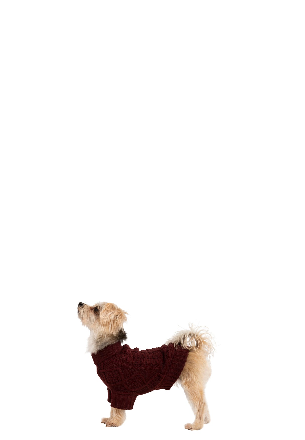 Snowhound - Merlot - Trespass