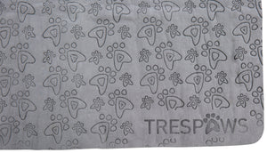 Sooty - Flint - Trespass