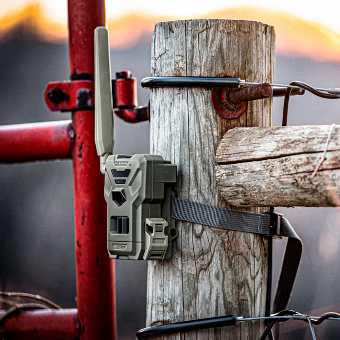 Spypoint Flex-M Twin-pack