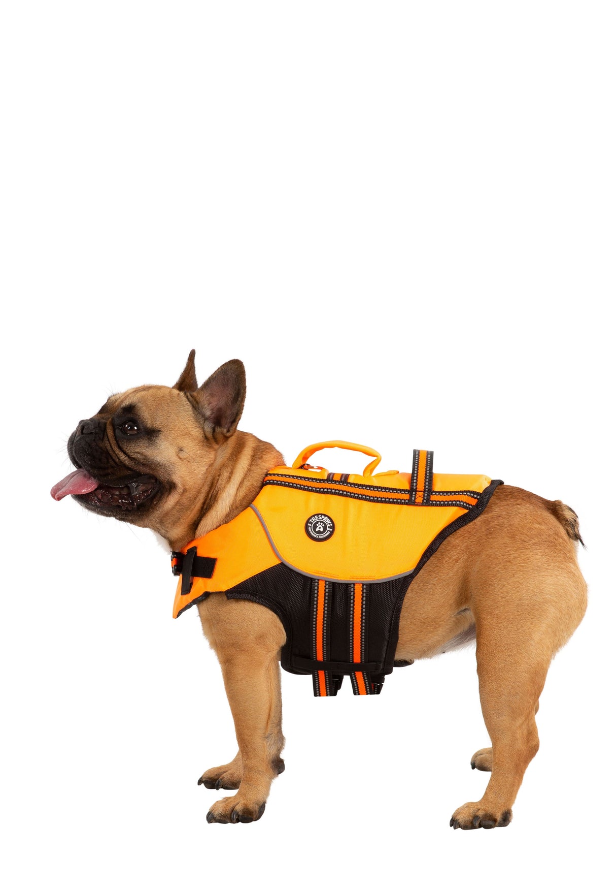 Surfdog - High Vis - Trespass