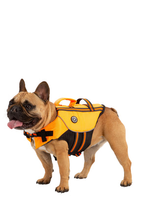 Surfdog - High Vis - Trespass