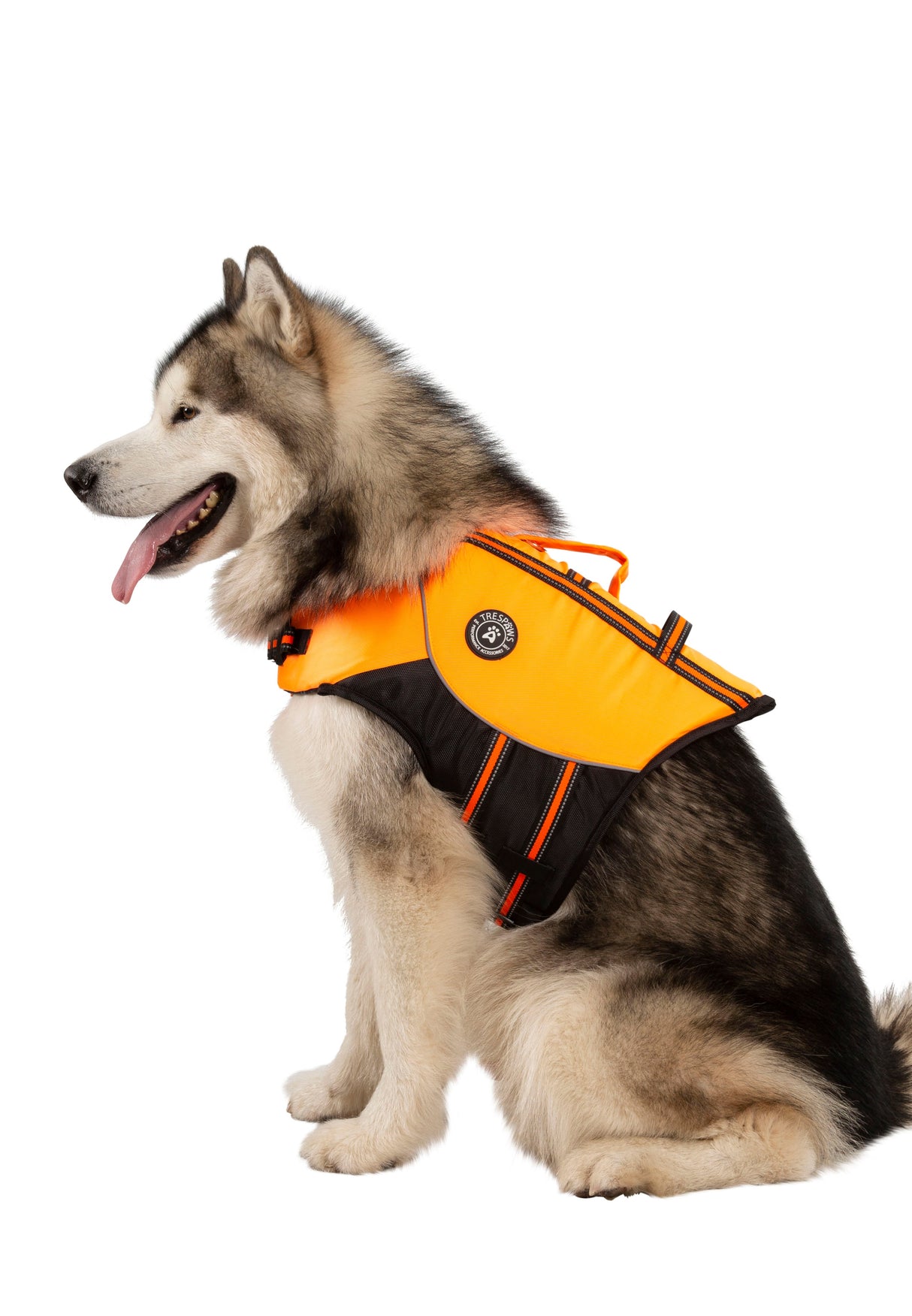 Surfdog - High Vis - Trespass