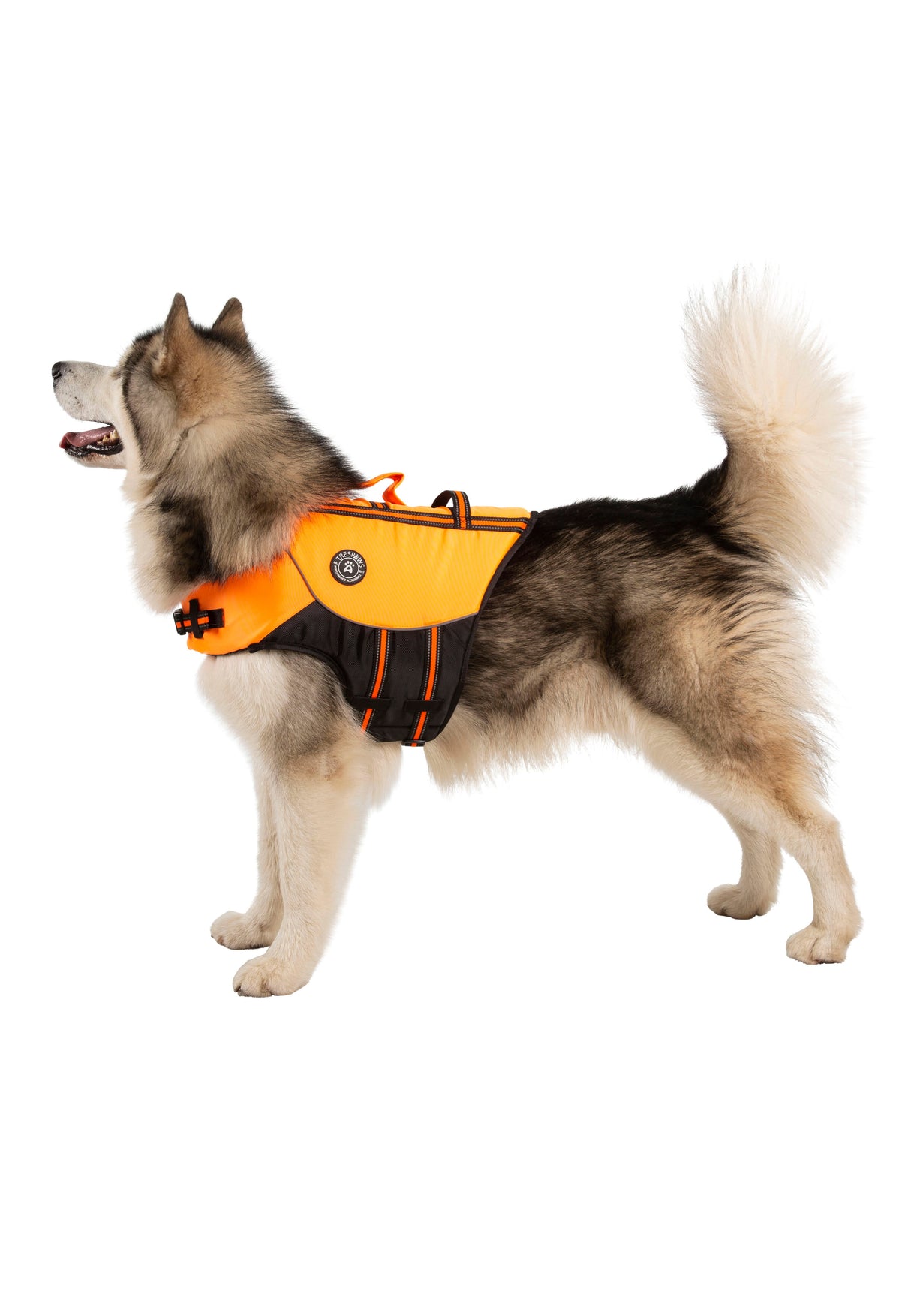 Surfdog - High Vis - Trespass
