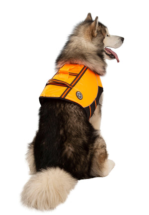 Surfdog - High Vis - Trespass