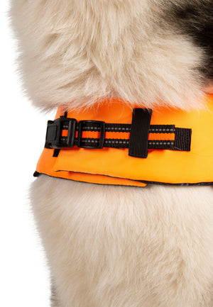 Surfdog - High Vis - Trespass