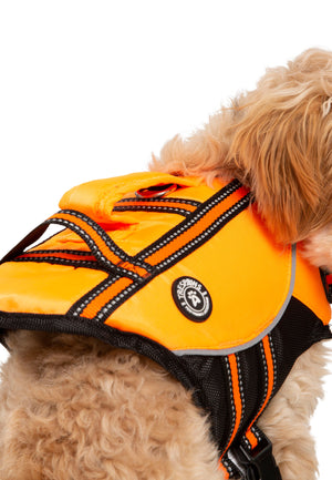 Surfdog - High Vis - Trespass