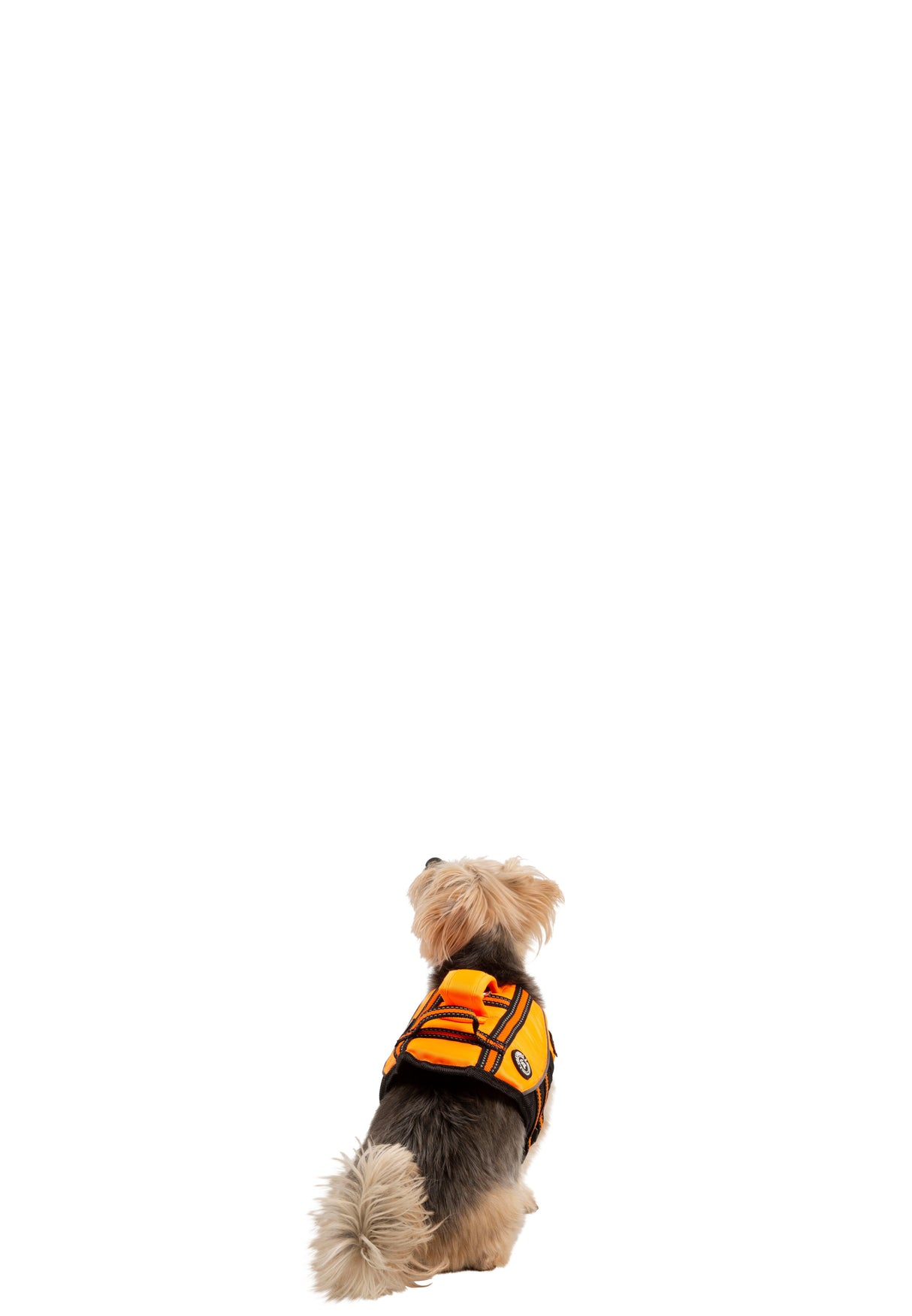 Surfdog - High Vis - Trespass