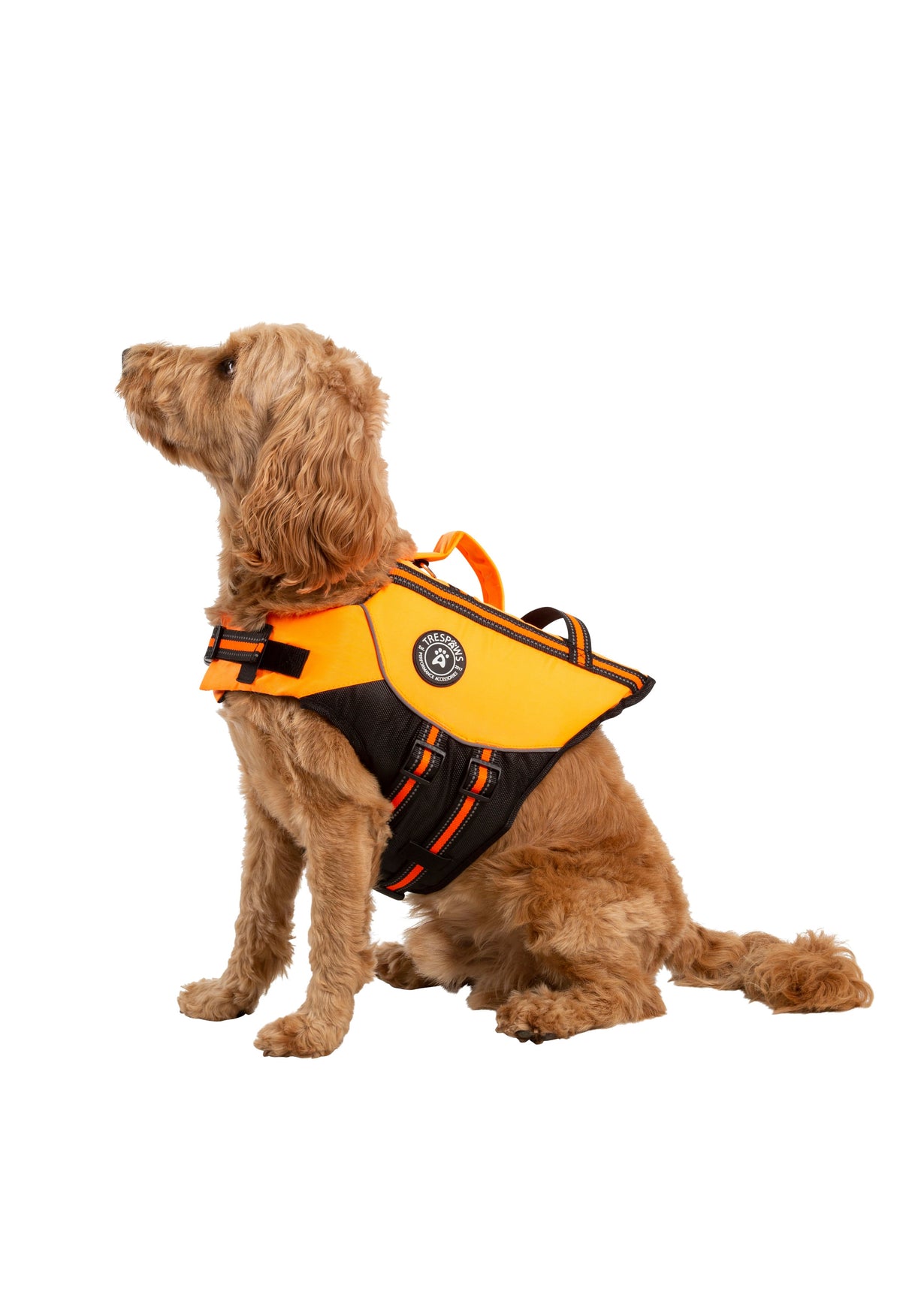 Surfdog - High Vis - Trespass
