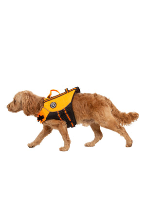 Surfdog - High Vis - Trespass
