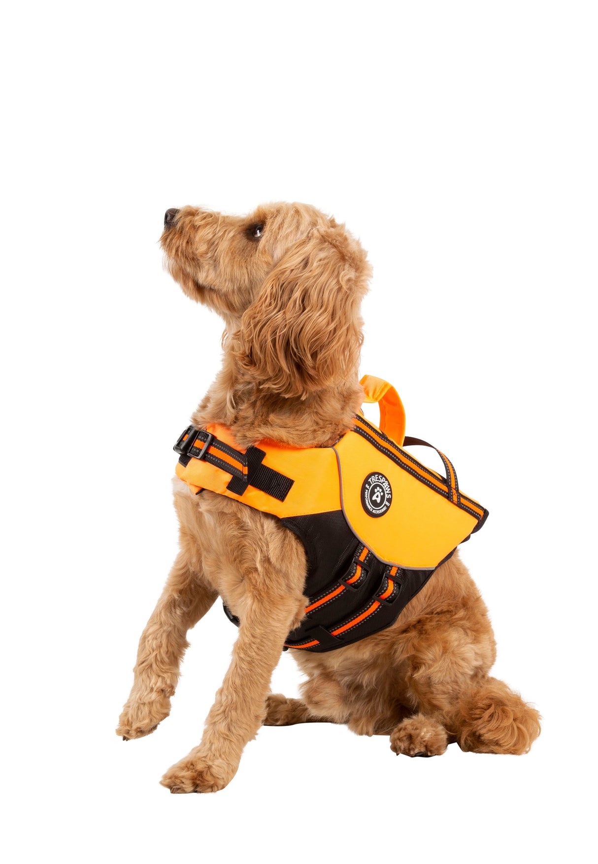 Surfdog - High Vis - Trespass