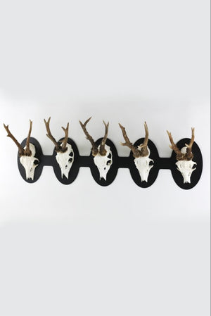 Torp Solution opsatsplade til 5 bukke Vandret - oval / Sort