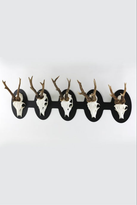 Torp Solution opsatsplade til 5 bukke Vandret - oval / Sort