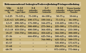 Totw Pine Forest Canine 12,2 kg — 2 sække