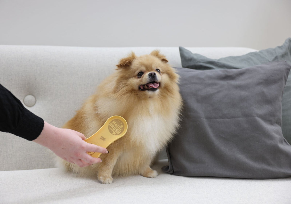 MagicBrush hunde børste