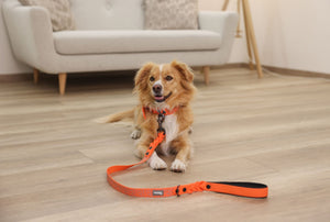 Hundesnor extra robust Puno - 100cm
