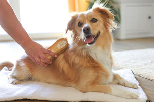 MagicBrush hunde børste soft