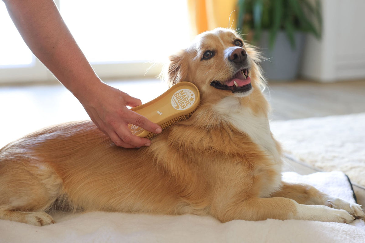 MagicBrush hunde børste soft
