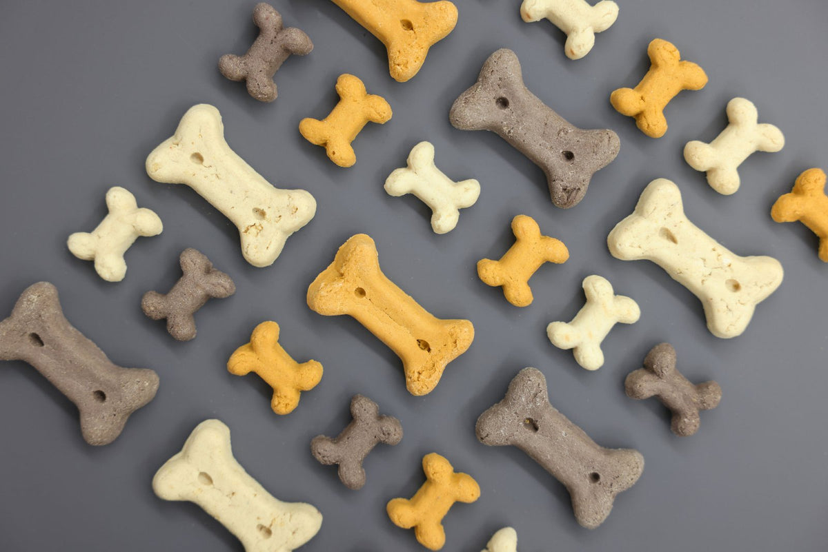 Hundegodbid Junior Mix Biscuits 400 g