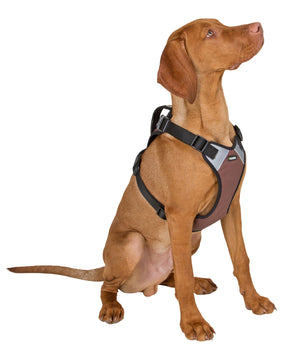 Hundesele Pulsive - Hals 62-85 - Bryst 72-96cm