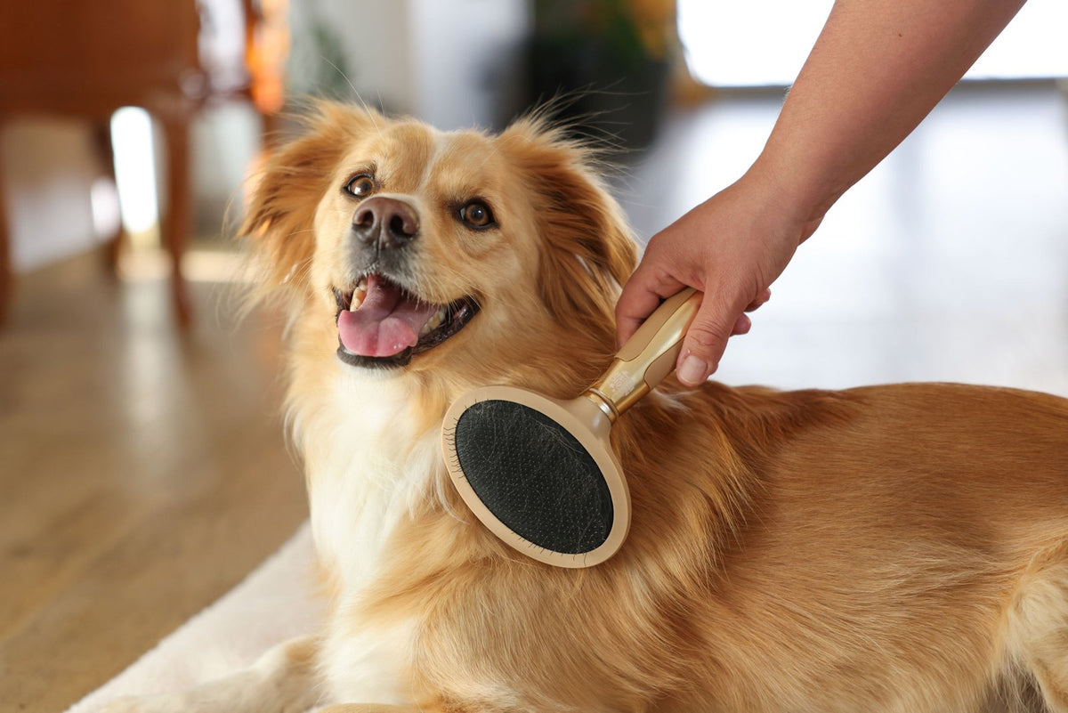 MagicBrush Soft Sliker børste