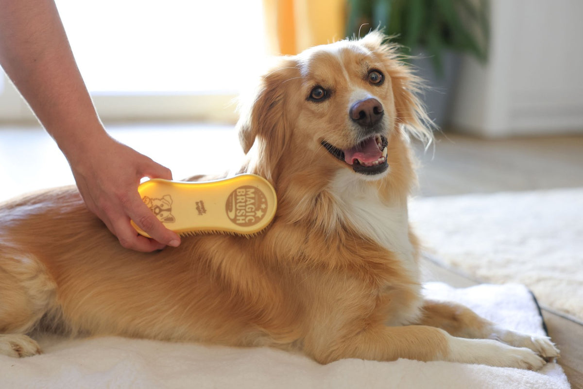 MagicBrush hunde børste