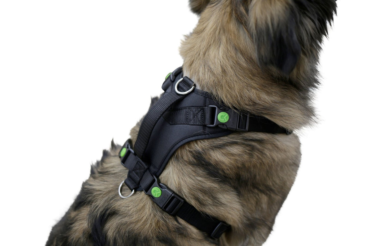 Hundesele Pulsive - Hals 36-50 - Bryst 46-60cm