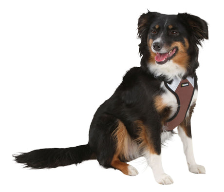 Hundesele Pulsive - Hals 50-62 - Bryst 56-74cm