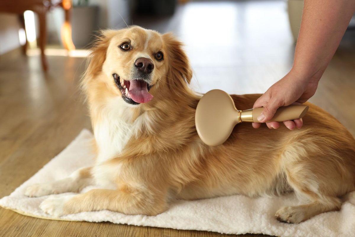 MagicBrush Soft Sliker børste